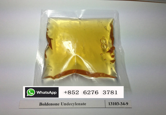 Músculo amarelo injetável Pharma Boldenone Undecylenate de Boldenona dos BU para o halterofilismo