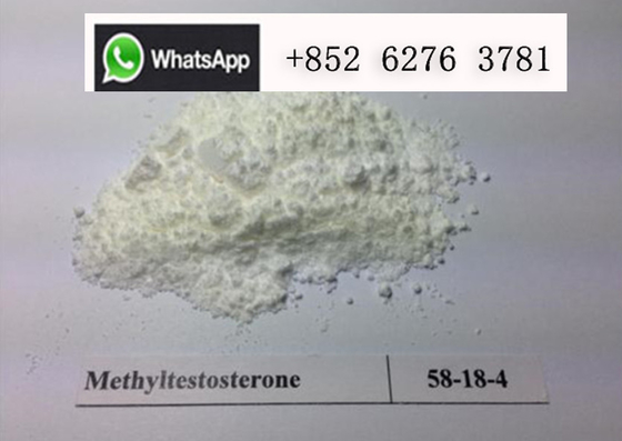 Methyltestosterone de CAS 58-18-4 do esteroide anabólico da testosterona do suplemento ao halterofilismo