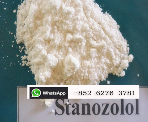 250mg/ML de esteroides anabólicos orais Stanozolol Winstrol para o músculo do aumento