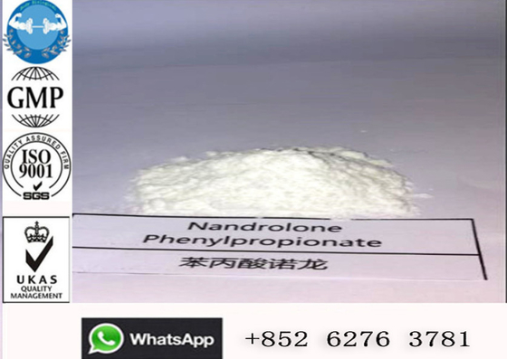100mg/do líquido da CN Deca ml do Nandrolone Phenylpropionate dos esteroides anabólicos