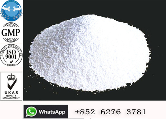Alcaloide de Jinyang da pureza de 99%, CAS 472-61-364 esteroides masculinos do realce
