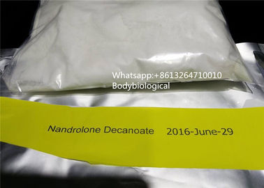 Pó injetável saudável de Decanoate do Nandrolone dos esteroides anabólicos de Deca