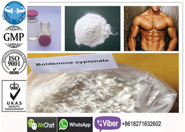 CAS 106505-90-2 Boldenone Cypionate, suplementos injetáveis aos esteroides do ganho do músculo